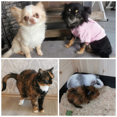 Unsere Tiere